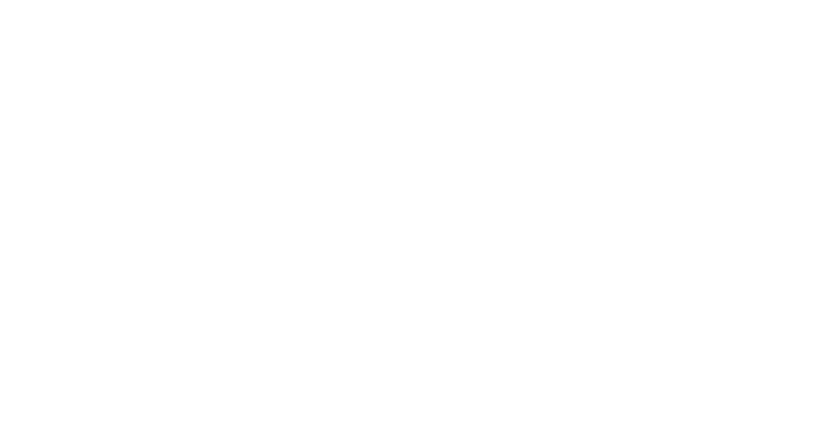 The James Hotel logo